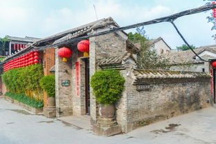 味蕾的慢行 顺德美食与园林古建筑的温情交织